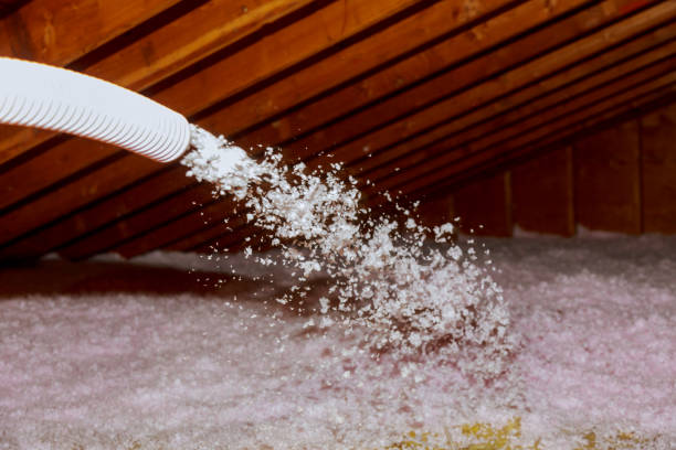 Types of Insulation We Offer in Williamson, AZ