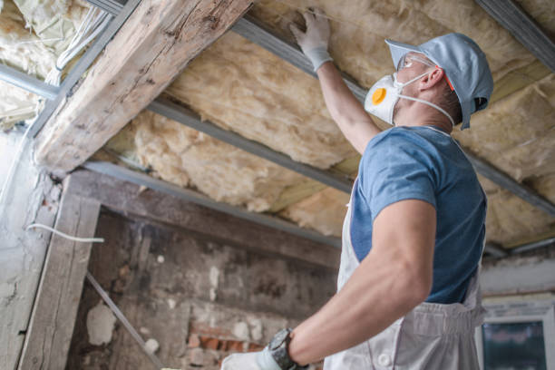 Best Insulation Maintenance and Repair in Williamson, AZ