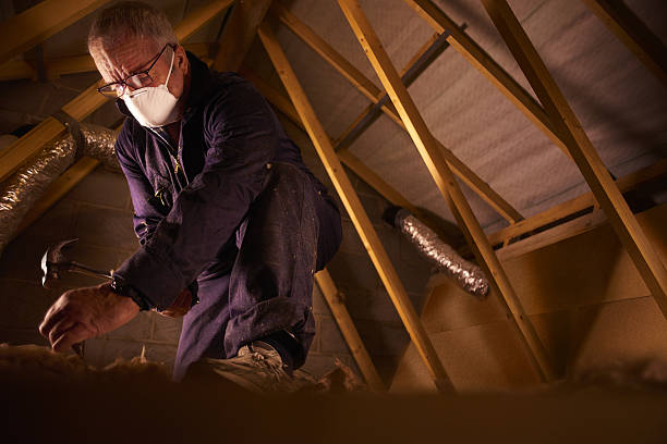 Best Geographic-Specific Insulation Services in Williamson, AZ