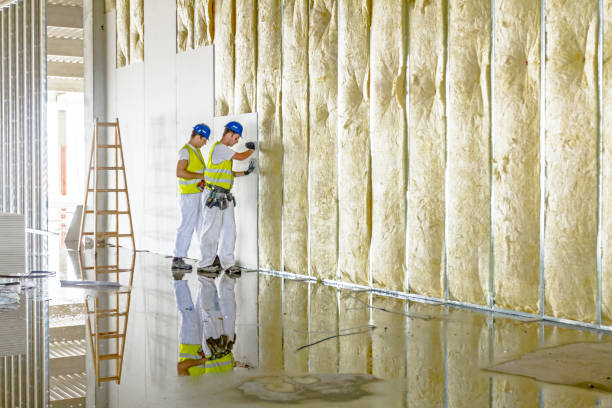 Best Commercial Insulation in Williamson, AZ
